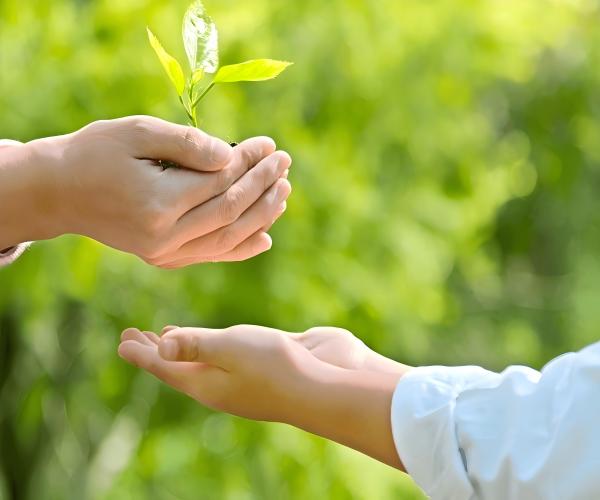 Hubei Yihua Group Co., Ltd.