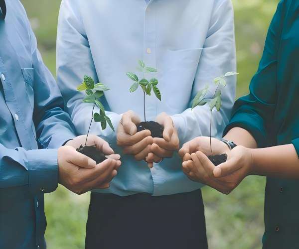 Hubei Yihua Group Co., Ltd.